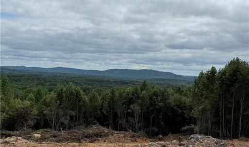 Photo #1 of Woodfield, Sophia, NC 25.0 acres
