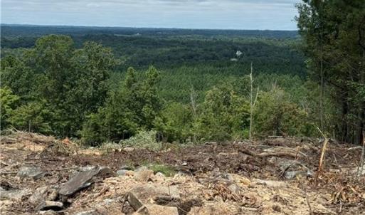 Photo #4 of Woodfield, Sophia, NC 25.0 acres