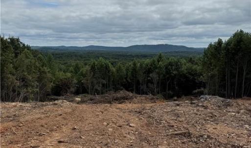 Photo #2 of Woodfield, Sophia, NC 99.6 acres