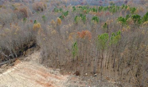 Photo #12 of Woodfield, Sophia, NC 99.6 acres