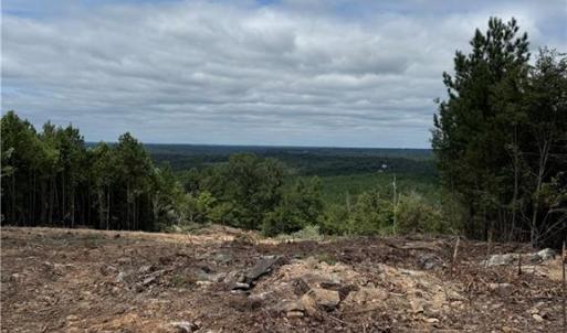 Photo #3 of Woodfield, Sophia, NC 99.6 acres