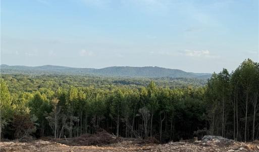 Photo #9 of Woodfield, Sophia, NC 99.6 acres