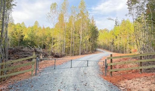 Photo #11 of Woodfield, Sophia, NC 99.6 acres