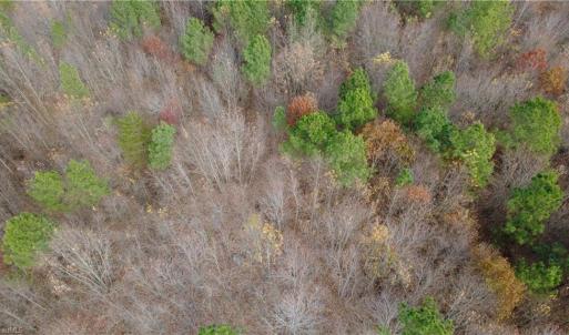 Photo #19 of Woodfield, Sophia, NC 99.6 acres