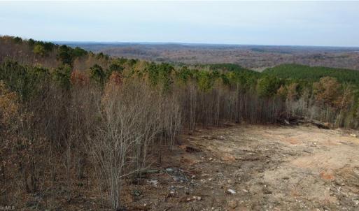 Photo #35 of Woodfield, Sophia, NC 99.6 acres