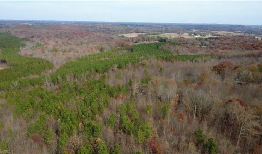 Photo #29 of Woodfield, Sophia, NC 99.6 acres