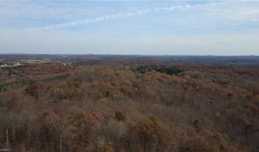 Photo #21 of Woodfield, Sophia, NC 99.6 acres