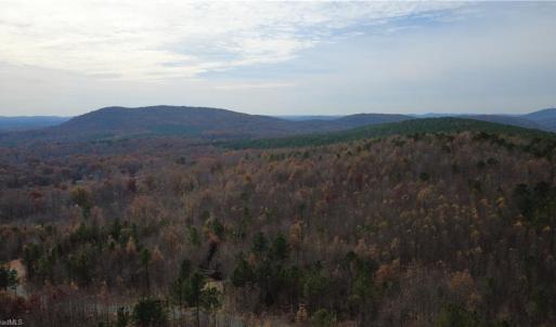 Photo #23 of Woodfield, Sophia, NC 99.6 acres