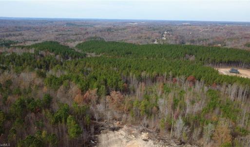 Photo #16 of Woodfield, Sophia, NC 99.6 acres