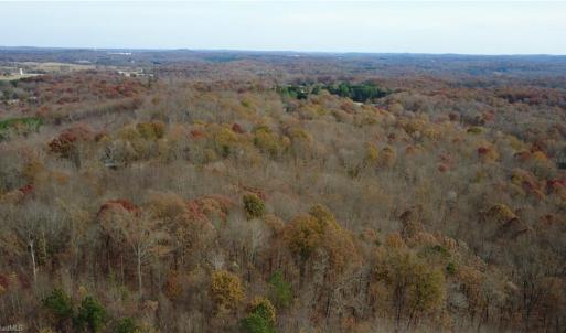 Photo #28 of Woodfield, Sophia, NC 99.6 acres