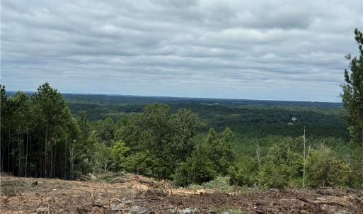 Photo #5 of Woodfield, Sophia, NC 99.6 acres
