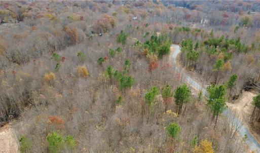 Photo #24 of Woodfield, Sophia, NC 99.6 acres