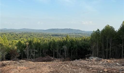 Photo #10 of Woodfield, Sophia, NC 99.6 acres