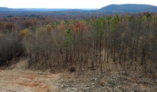 Photo #14 of Woodfield, Sophia, NC 99.6 acres