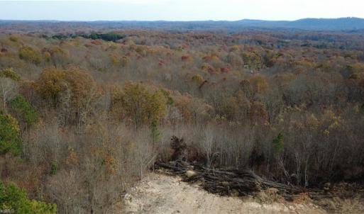 Photo #13 of Woodfield, Sophia, NC 99.6 acres