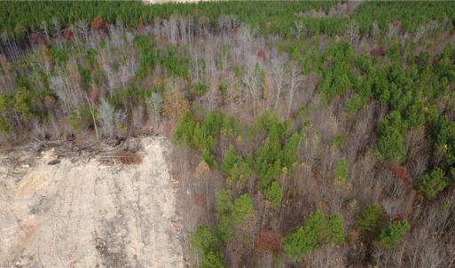 Photo #17 of Woodfield, Sophia, NC 99.6 acres