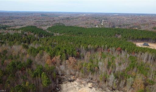 Photo #16 of Woodfield, Sophia, NC 99.6 acres