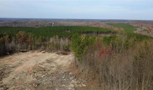 Photo #36 of Woodfield, Sophia, NC 99.6 acres