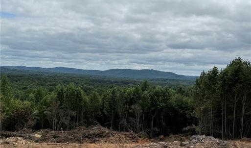 Photo #1 of Woodfield, Sophia, NC 99.6 acres