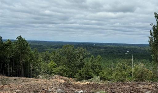 Photo #5 of Woodfield, Sophia, NC 99.6 acres