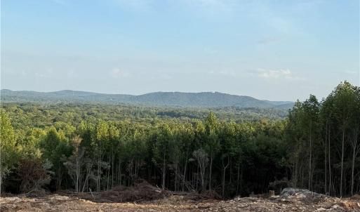 Photo #9 of Woodfield, Sophia, NC 99.6 acres