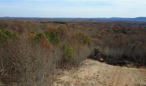 Photo #38 of Woodfield, Sophia, NC 99.6 acres