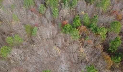 Photo #19 of Woodfield, Sophia, NC 99.6 acres