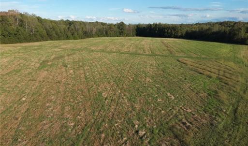 Photo #7 of Stewart, Ruffin, NC 88.0 acres