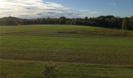 Photo #36 of Stewart, Ruffin, NC 88.0 acres