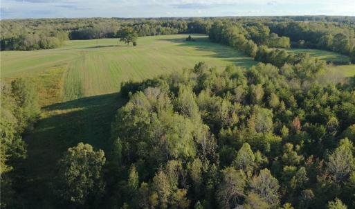 Photo #33 of Stewart, Ruffin, NC 88.0 acres