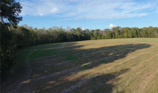 Photo #23 of Stewart, Ruffin, NC 88.0 acres