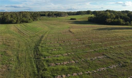 Photo #6 of Stewart, Ruffin, NC 88.0 acres