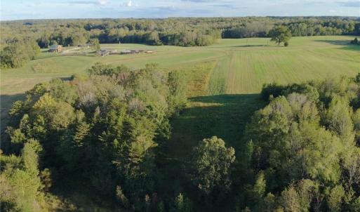 Photo #32 of Stewart, Ruffin, NC 88.0 acres