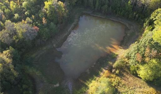 Photo #5 of Stewart, Ruffin, NC 88.0 acres