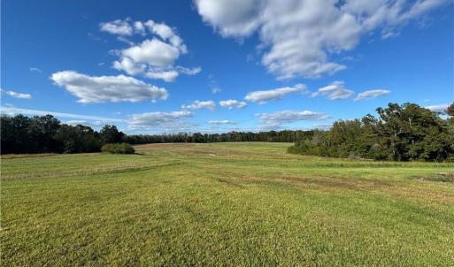 Photo #38 of Stewart, Ruffin, NC 88.0 acres