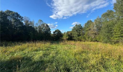 Photo #45 of Stewart, Ruffin, NC 88.0 acres