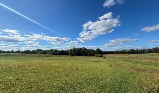 Photo #37 of Stewart, Ruffin, NC 88.0 acres