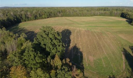 Photo #31 of Stewart, Ruffin, NC 88.0 acres