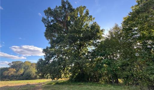 Photo #39 of Stewart, Ruffin, NC 88.0 acres