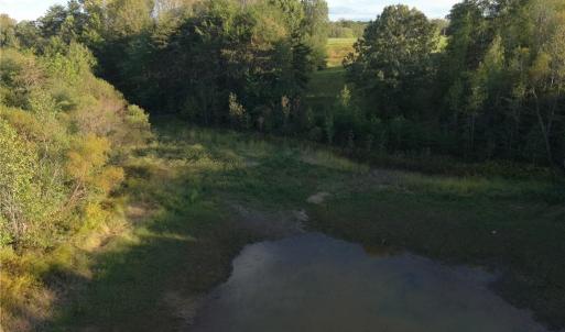 Photo #29 of Stewart, Ruffin, NC 88.0 acres