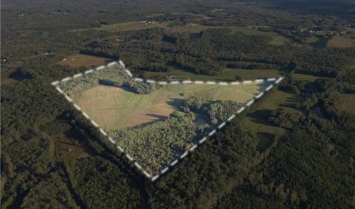 Photo #4 of Stewart, Ruffin, NC 88.0 acres