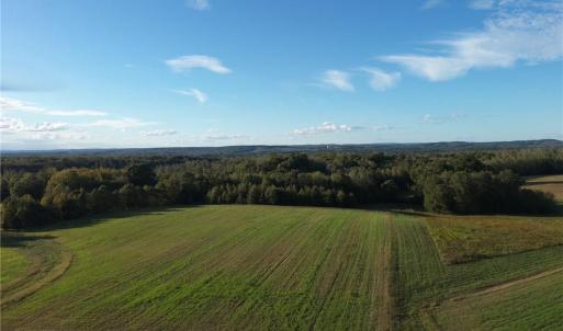 Photo #25 of Stewart, Ruffin, NC 88.0 acres