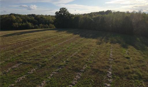 Photo #21 of Stewart, Ruffin, NC 88.0 acres