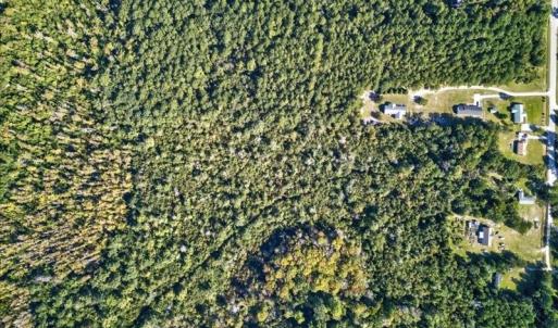 Photo #6 of 110 Hewett Burton, Leland, NC 4.9 acres