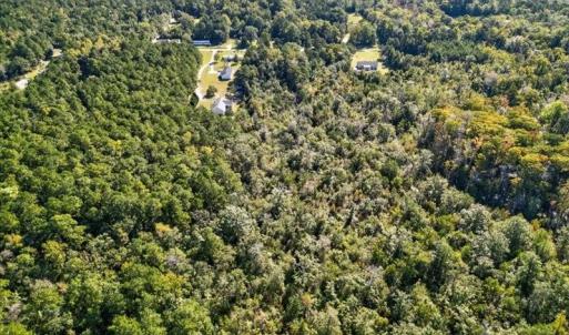 Photo #4 of 110 Hewett Burton, Leland, NC 4.9 acres