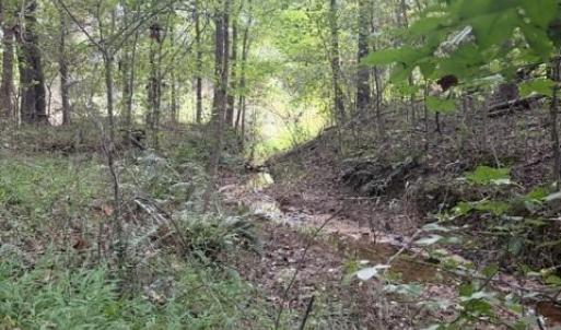 Photo #2 of Greensboro Chapel Hill, Liberty, NC 12.9 acres