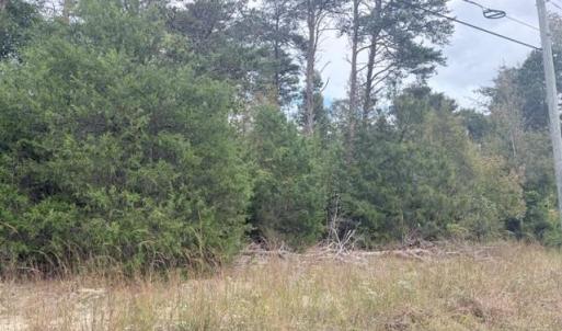 Photo #7 of Greensboro Chapel Hill, Liberty, NC 12.9 acres