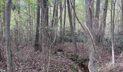 Photo #3 of Greensboro Chapel Hill, Liberty, NC 12.9 acres