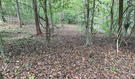 Photo #23 of Lot 5 Zeb Ferguson, Siler City, NC 5.6 acres