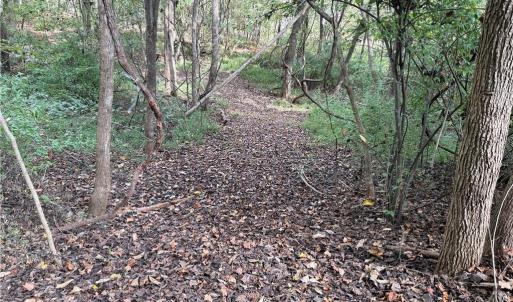 Photo #17 of Lot 5 Zeb Ferguson, Siler City, NC 5.6 acres